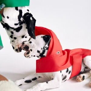 Zara Pet  COLLECTION RAINCOAT Red- Large